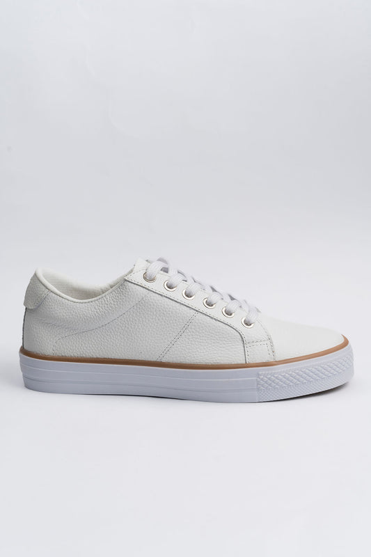 Aire Tenis
