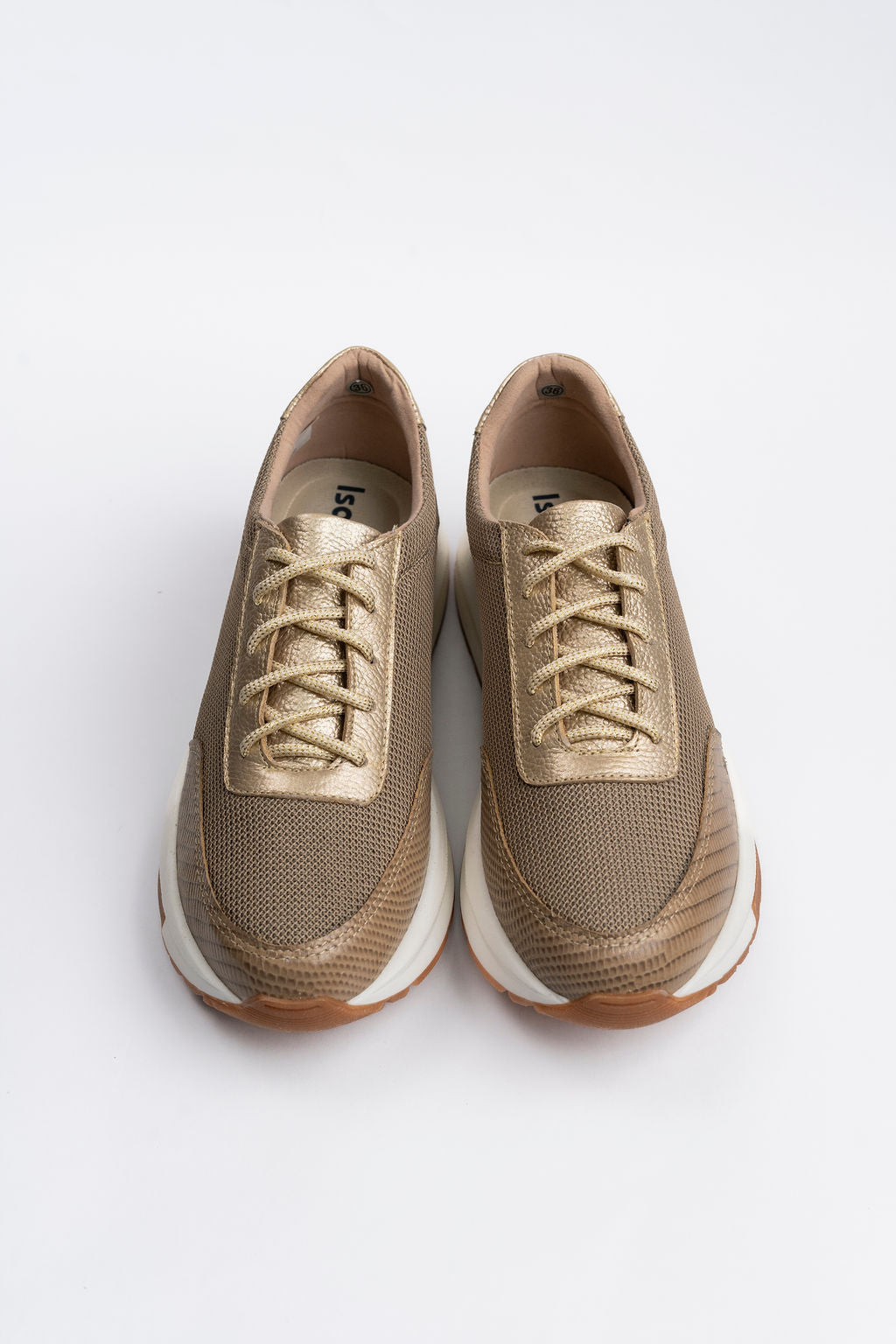 Destello dorado Tenis