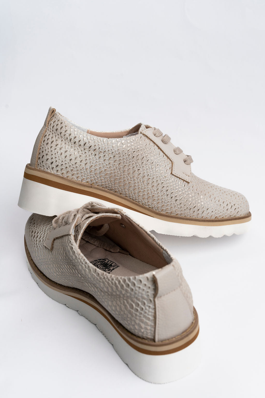 Eleva Oxford Tenis