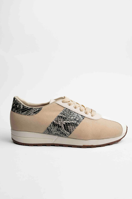 Oda Tenis